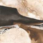 Tactile Inspiration II Art Print