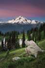 Image Lake Glacier Peak North Cascades Art Print