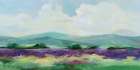 May Lavender Field II Art Print