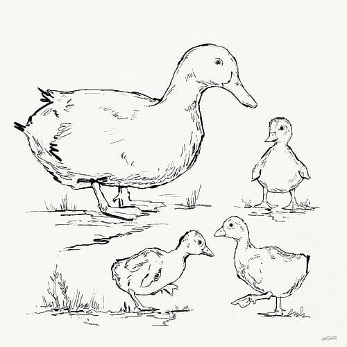 Duck Delight II Minimalist Print