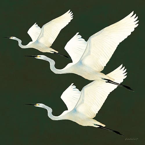 Egrets Alighting II on Green Minimalist Print
