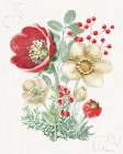 Holiday Traditions II Art Print