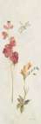 Wild Wallflowers II Panel Art Print