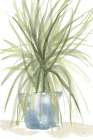 Tall Sunroom II Blue Still Life Print