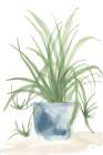 Tall Sunroom IV Blue Still Life Print