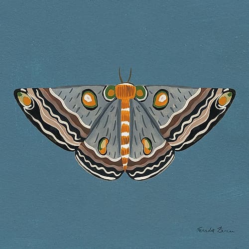 Moth I Sq Art Print