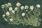 Vintage Flowers on Green Art Print