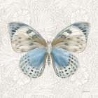 Beetles and Butterflies IV Art Print