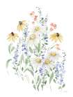 Summer Garden II Art Print