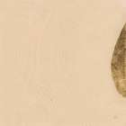 Tan on Tan III Art Print