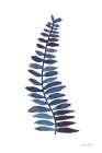 Forest Fern Trio I Art Print