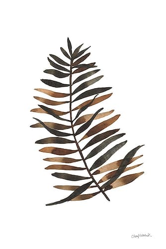 Botanique Beauty I Nature Print