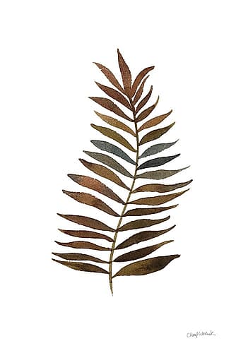 Botanique Beauty II Nature Print