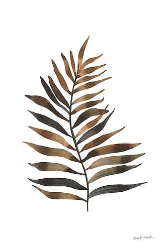 Botanique Beauty IV Nature Print