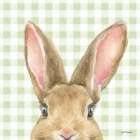 Garden Bunnies VII Green Art Print