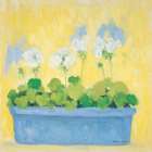 Window Box with Geraniums Art Print