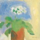 Cream Primula Art Print