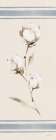 Sweet Farm Cotton I Art Print