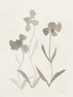 Gray Florals I Art Print