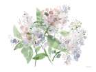 Pastel Petals Art Print
