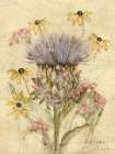 Cynara Art Print