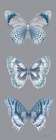 Fragile Wings Butterfly Panel Gray Art Print