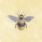 Late Summer Harvest Bee I Yellow Art Print