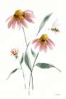 Wild for Honeybloom Wildflowers V Art Print