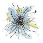 Spider Mum Blue II Art Print
