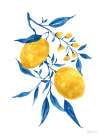 Blue Leaf Lemons II Art Print