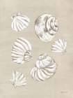 Beach Treasures II Art Print