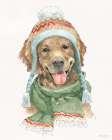 Winter Paws I Art Print