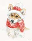 Winter Paws III Art Print