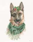 Winter Paws IV Art Print