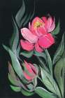 Peony on Black Art Print
