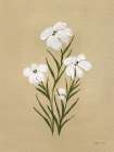 Pretty Little Flower I Art Print