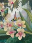 Tierra del Fuego Hummingbirds II Art Print