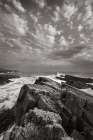 Daleys Point Art Print