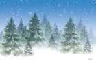 Winter Trees Art Print