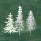 Wooded Winter XIII Art Print