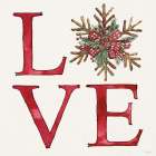 Winter Adornment IX Art Print