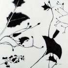 Abstract Garden II Art Print