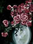 Botanical Elegance II Burgundy Art Print