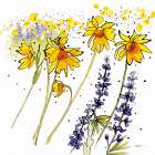 Wild Sunflowers and Lupine Art Print