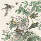 Honeybloom Bird III Art Print
