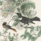Honeybloom Bird VI Art Print
