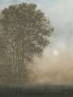 Moon at Dusk Crop Art Print
