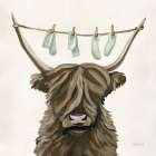Highland Cow Clothesline Art Print