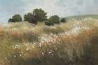Calm Meadow Art Print