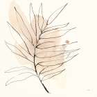 Boho Botanical VII Art Print
